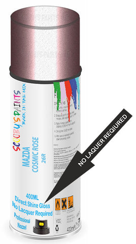 paint for Mazda Demio