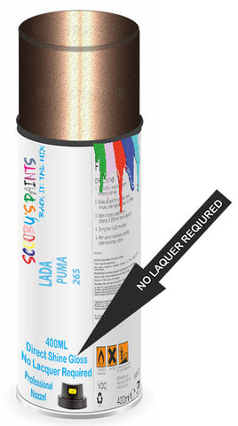 paint for Lada Xray