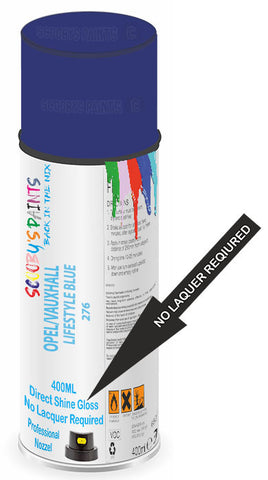 paint for VAUXHALL VIVARO