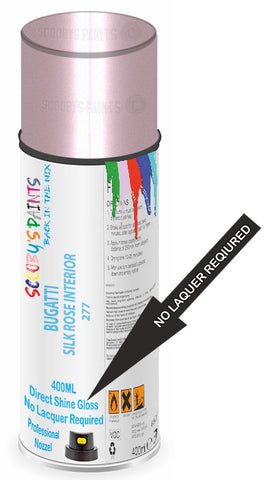 paint for BUGATTI 