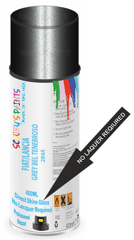 paint for Fiat Stilo