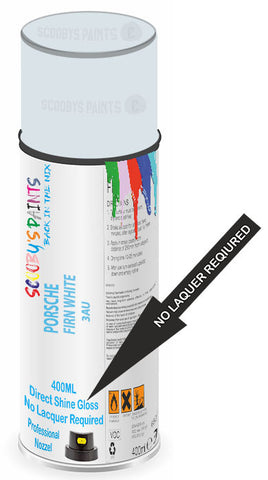 paint for Porsche 911