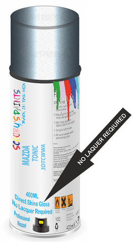paint for Mazda 2
