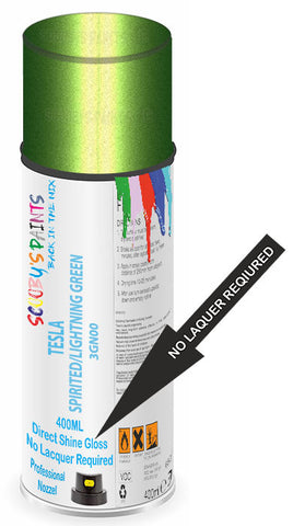 paint for TESLA Model 3