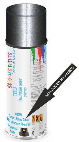 paint for Tesla Roadster