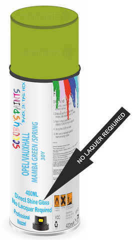 paint for Vauxhall Vivaro