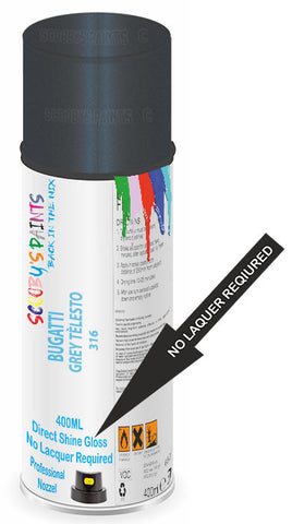 paint for BUGATTI 