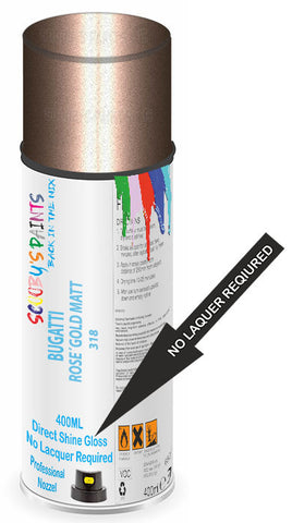 paint for BUGATTI 