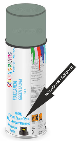 paint for Fiat Punto