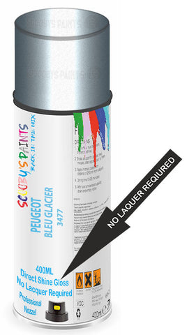 paint for Peugeot 505