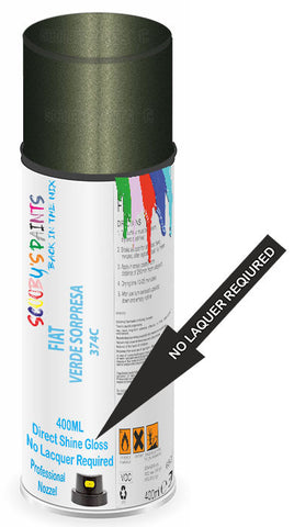 paint for FIAT panda 4x4