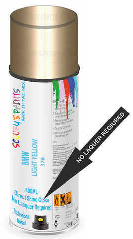 paint for Bmw Motorcycle