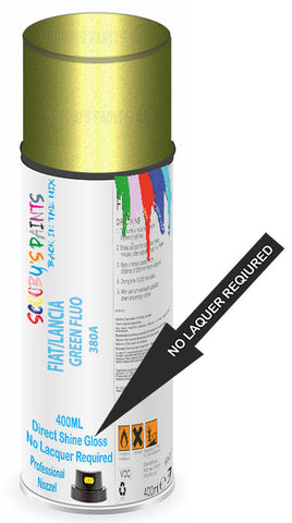 paint for Fiat 1900 B Gran Luce