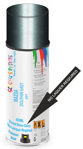 paint for Mazda Verisa