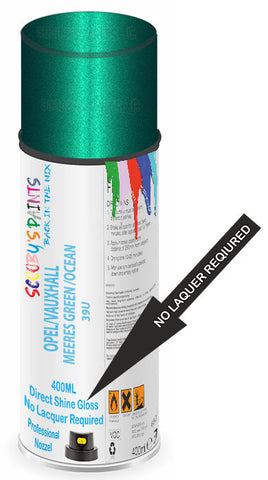paint for Vauxhall Vxr8