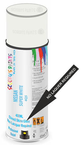 paint for NISSAN Z