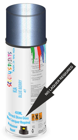 paint for Kia Rio