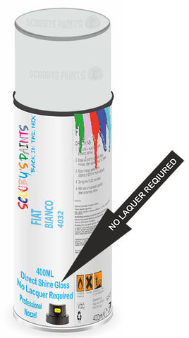 paint for FIAT ducato van