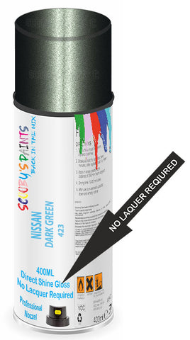paint for Nissan Stanza