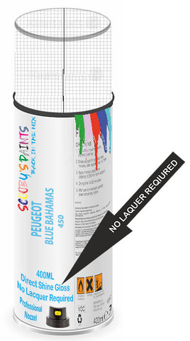 paint for PEUGEOT 