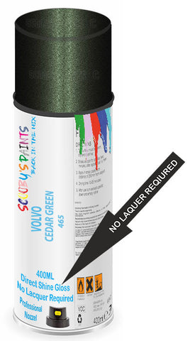 paint for Volvo S80