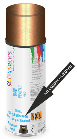 paint for Bmw Motorcycle