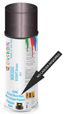 paint for MERCEDES S-CLASS