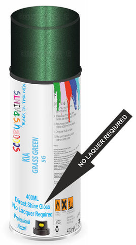 paint for Kia Pregio