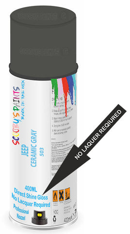 paint for Jeep Renegade