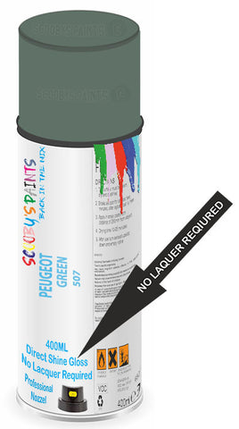 paint for Peugeot 203