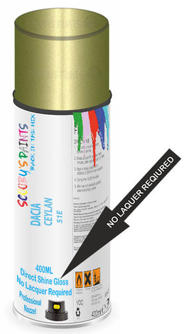paint for Dacia Solenza