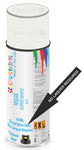 paint for Nissan Nx Coupe