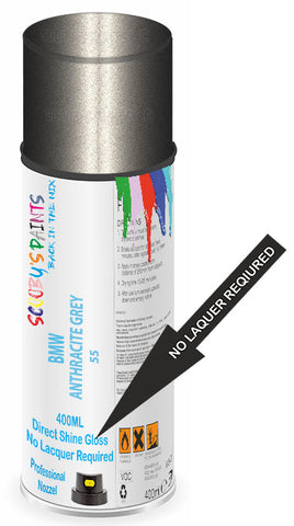 paint for BMW 