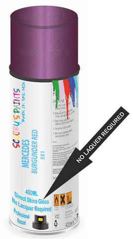 paint for Mercedes Antos