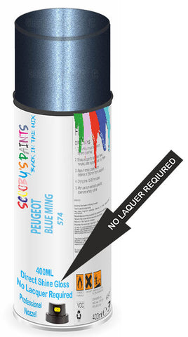 paint for Peugeot 305