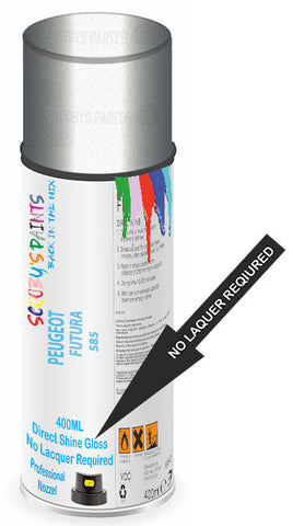 paint for Peugeot 305