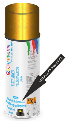 paint for Fiat Punto