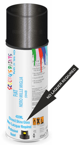 paint for Fiat 500