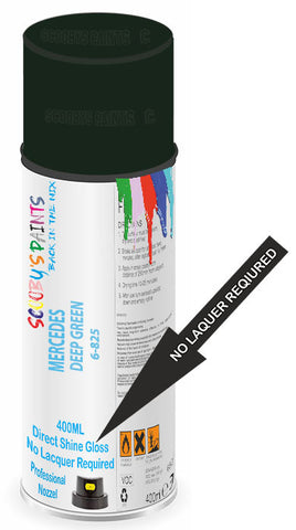 paint for Mercedes 250