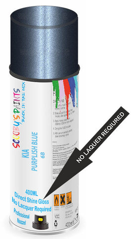 paint for Kia Shuma