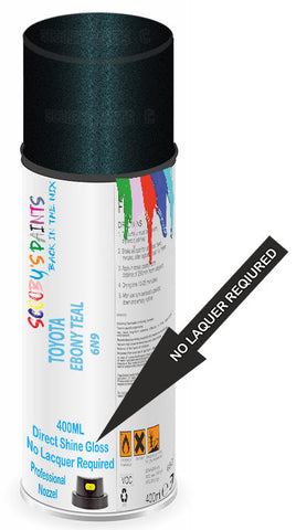 paint for TOYOTA CAMRY