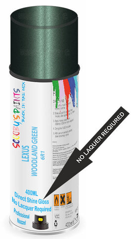 paint for Lexus 