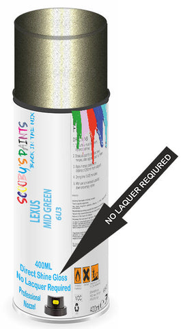 paint for Lexus Rx400H
