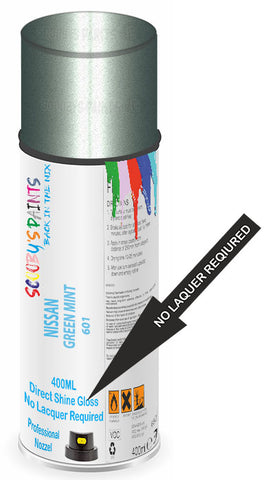 paint for NISSAN 210
