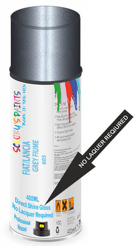 paint for Fiat Marea