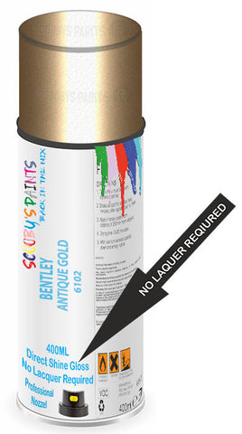 paint for Bentley Arnage