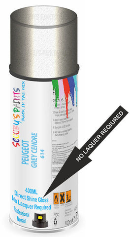 paint for Peugeot 207 Sw