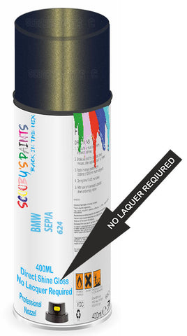 paint for BMW X5