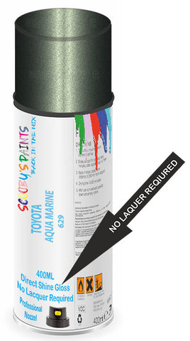 paint for TOYOTA 