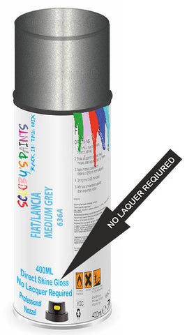 paint for Fiat Punto